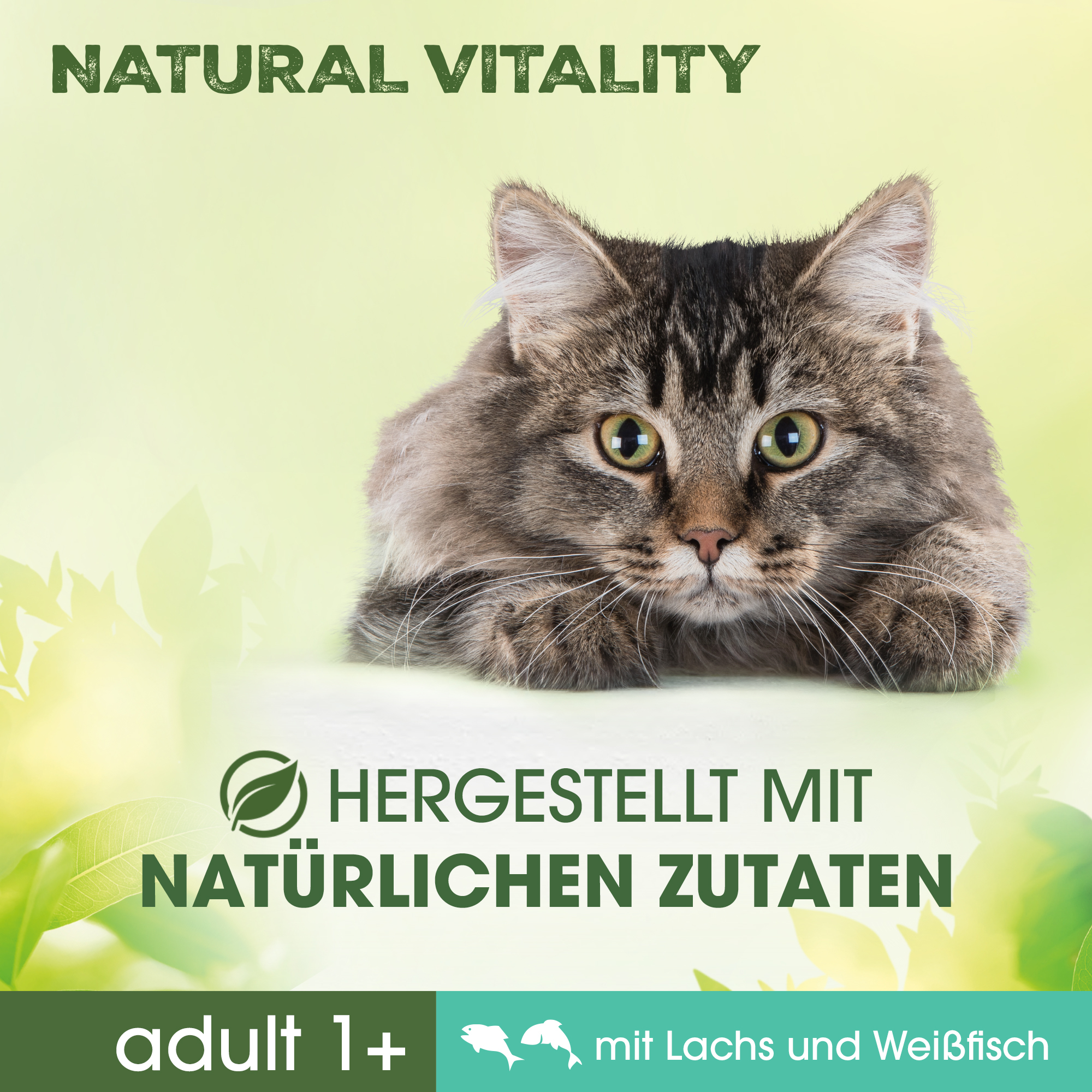 PERFECT FIT Trockenfutter PERFECT FIT Natural Vitality Adult +1 Sparpaket 6x650g Lachs & Weißfisch
