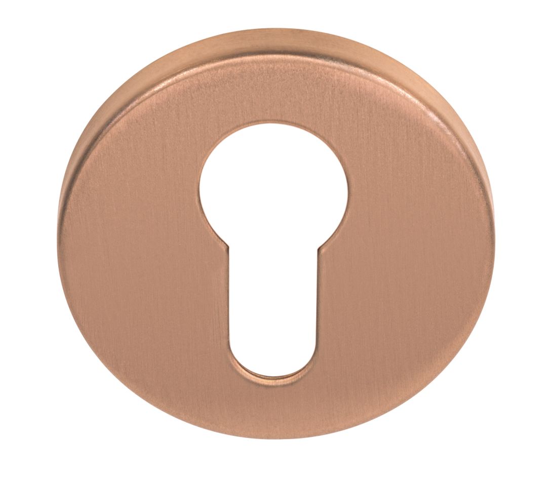 Formani 1501Y002MBXX0 BASICS LBY50 cylinderplade 6 mm PVD matbronze