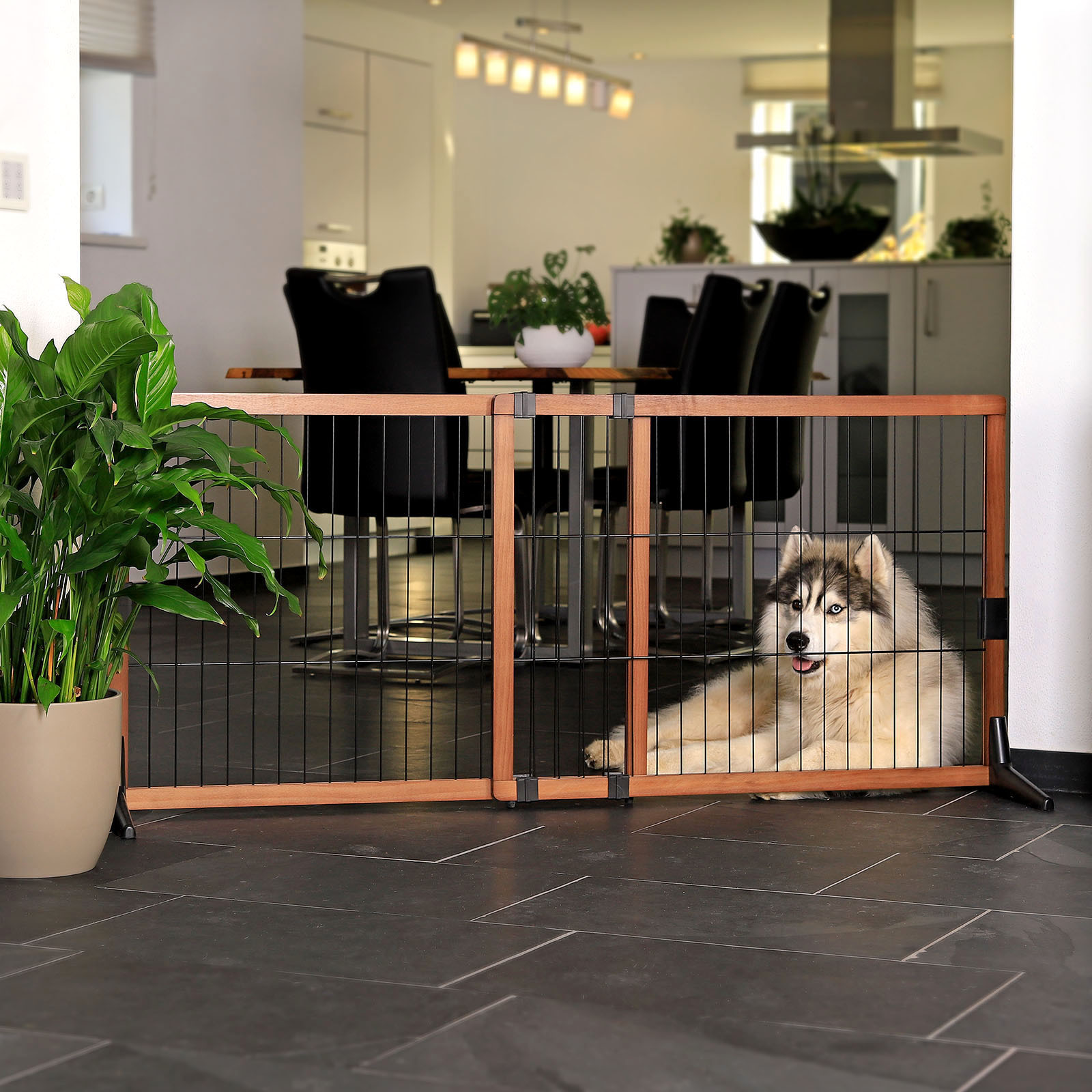 Lionto Türschutzgitter & Hundeklappen Lionto Absperrgitter, Hundeschutzgitter