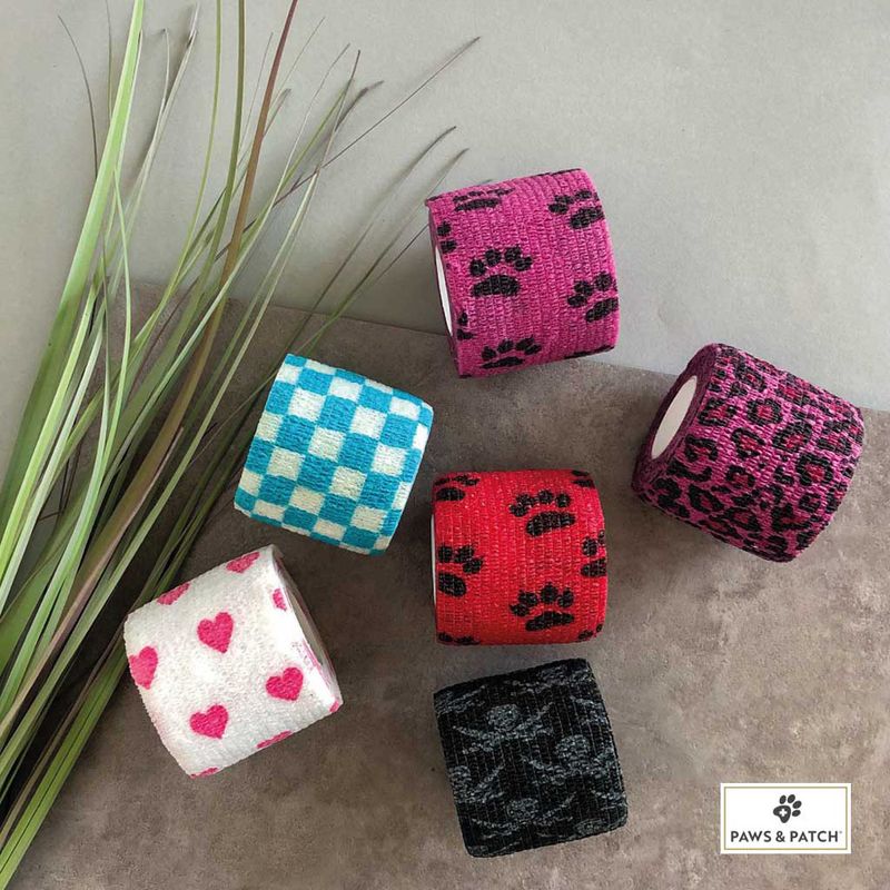 PAWS & PATCH Klebepflaster zu TOP-Preisen