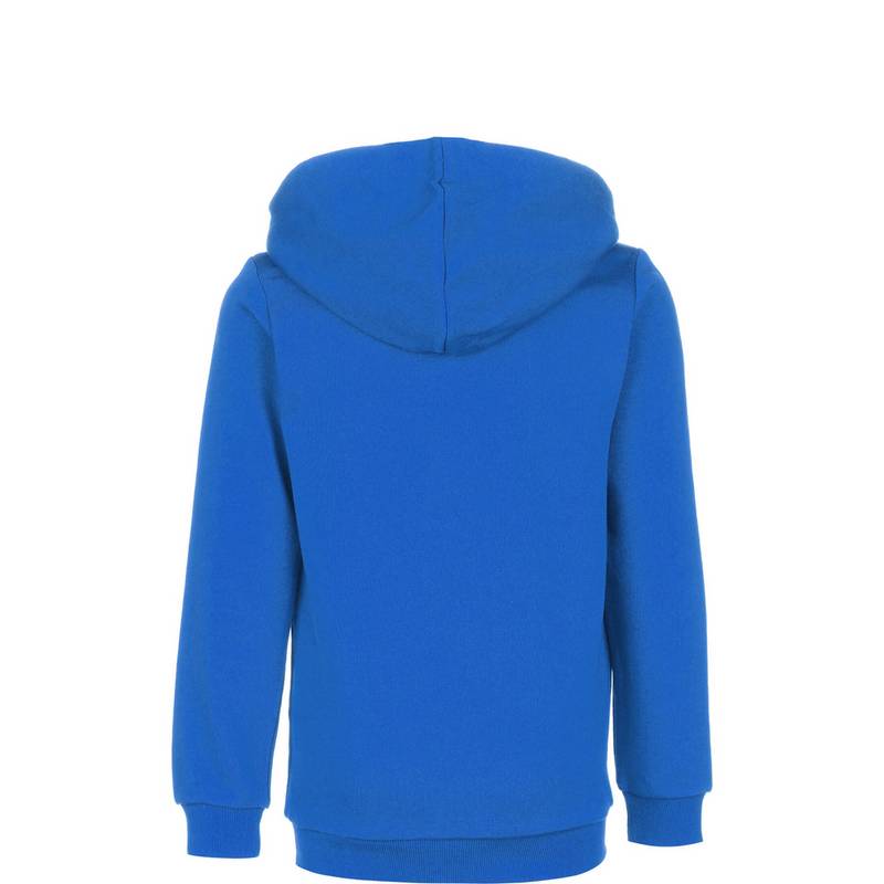 PUMA teamGoal 23 Casuals Trainingsjacke Jungen