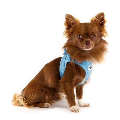 Curli Vest Geschirr Clasp Air-Mesh, himmelblau