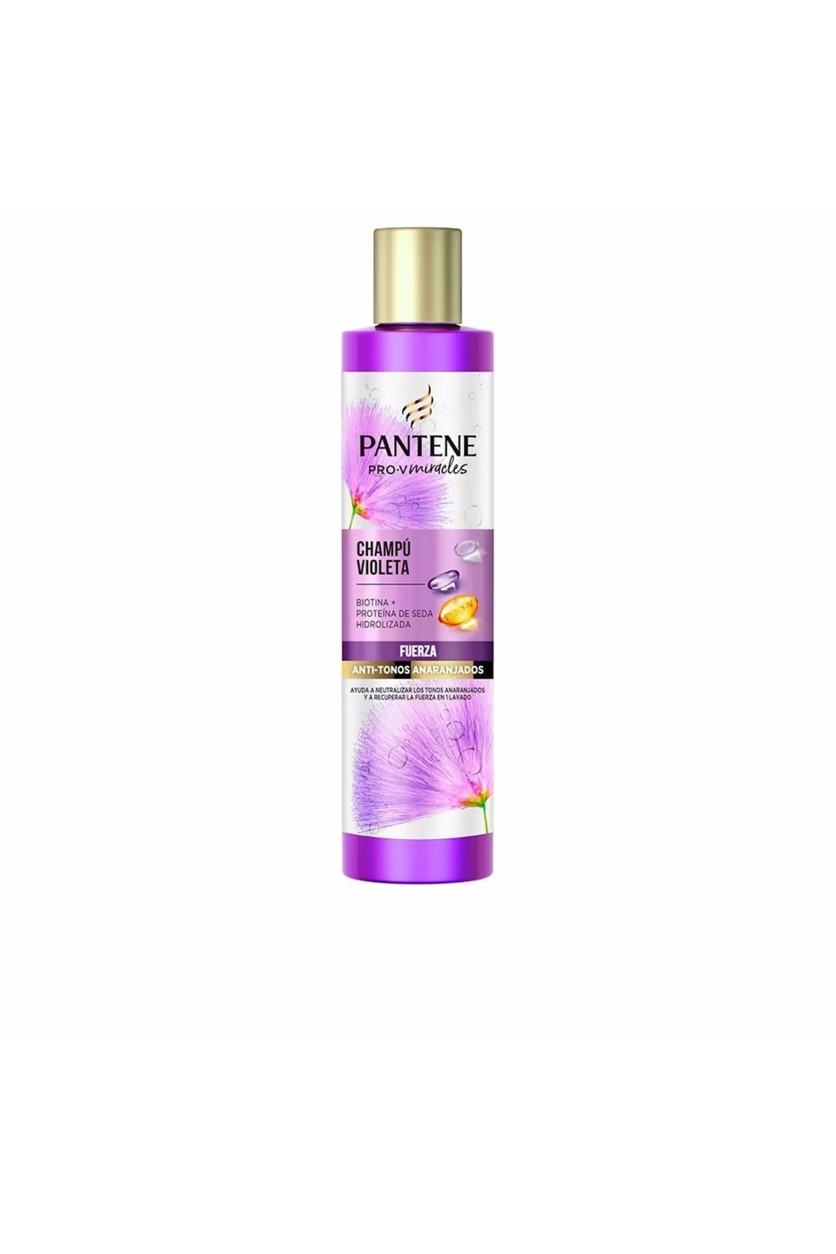 Pantene  Shampoo - Schützend