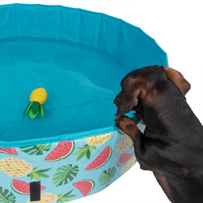 TIAKI Hundespielzeug Squeaker Ananas