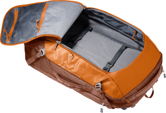 AViANT Access 38