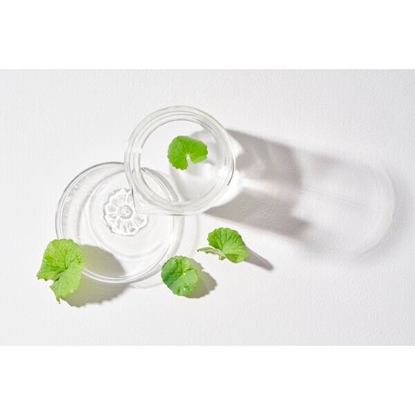 Mixsoon Centella Cleansing Water 300ml