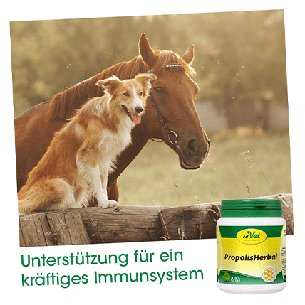 cdVet Ergänzungsfutter & Aufzucht cdVet PropolisHerbal 20g 130 g
