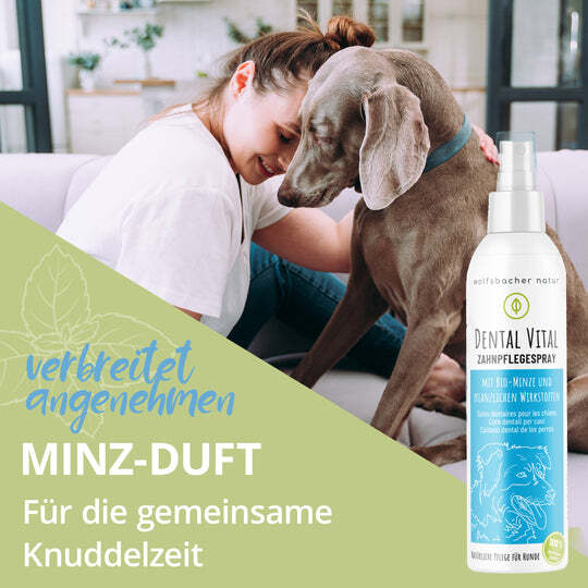 Wolfsbacher Natur Zahnpflege Wolfsbacher Natur Dentalspray