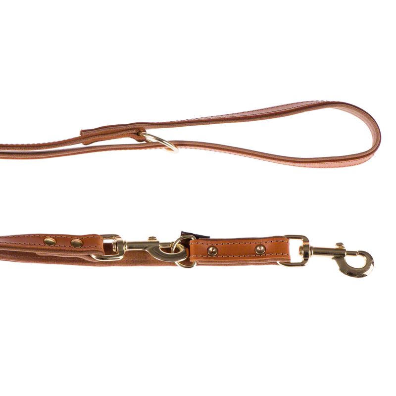 Sparset Heim Lederhalsband & Vorführleine Buffalo, cognac % bei bitiba.de