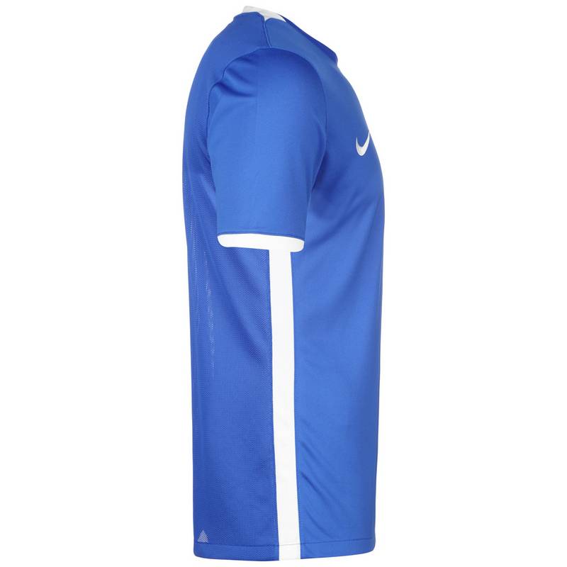 Nike Challenge IV Trikot Herren