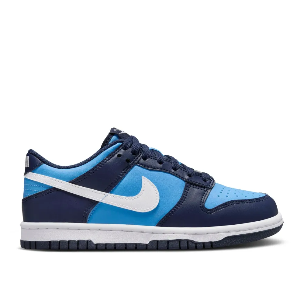 Nike Dunk Low HF0031-400 / blau