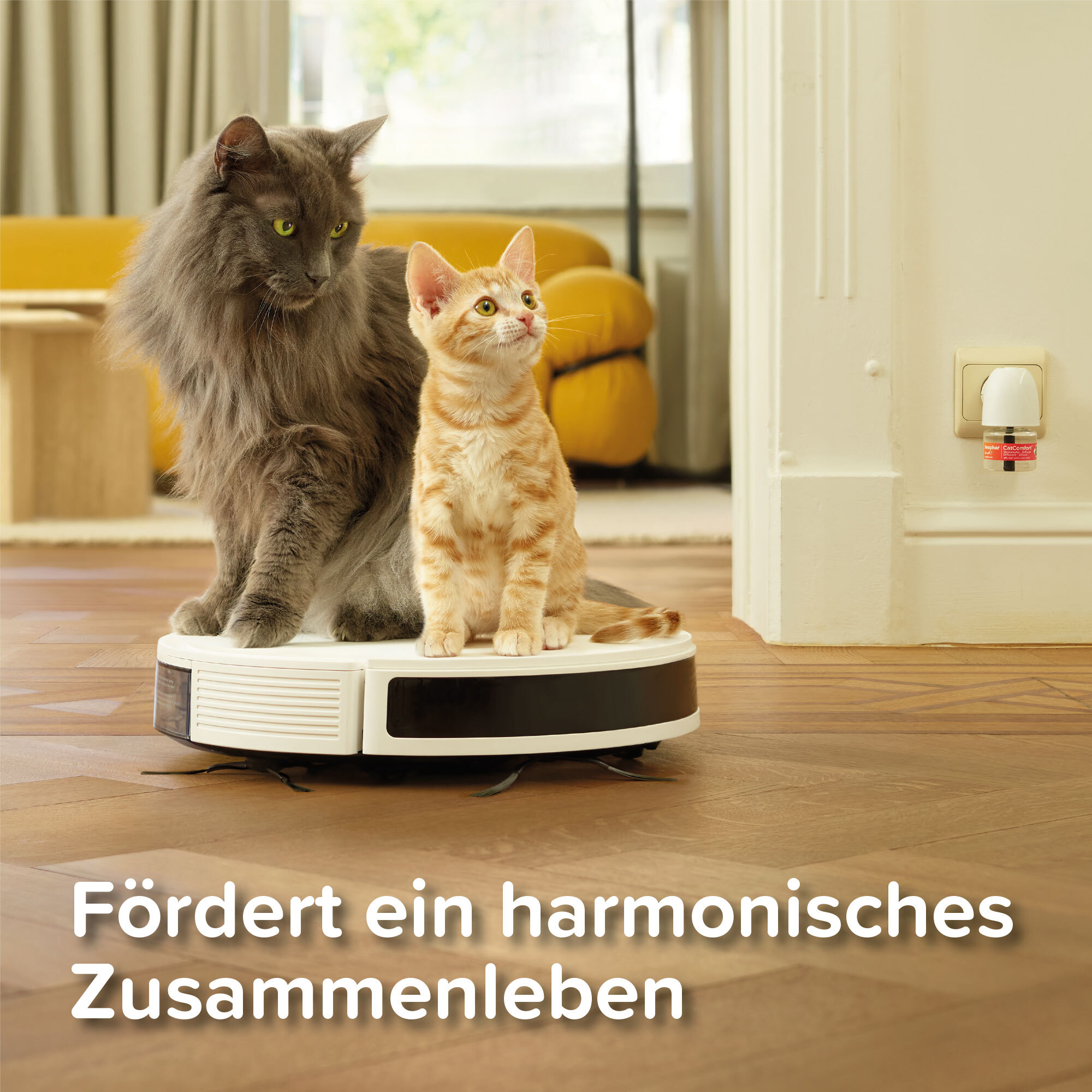 Beaphar Beruhigungsmittel Beaphar CatComfort Excellence Starter-Kit 48ml