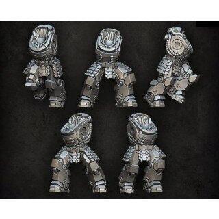 Bushi Prime Strikers Bodies (5)