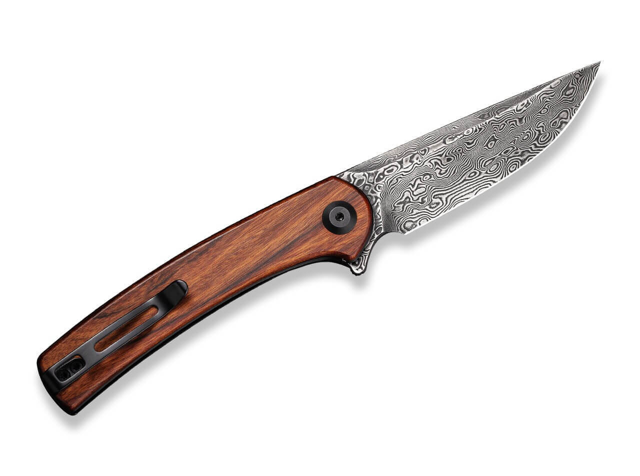 Mini Asticus Cuibourtia Damascus
