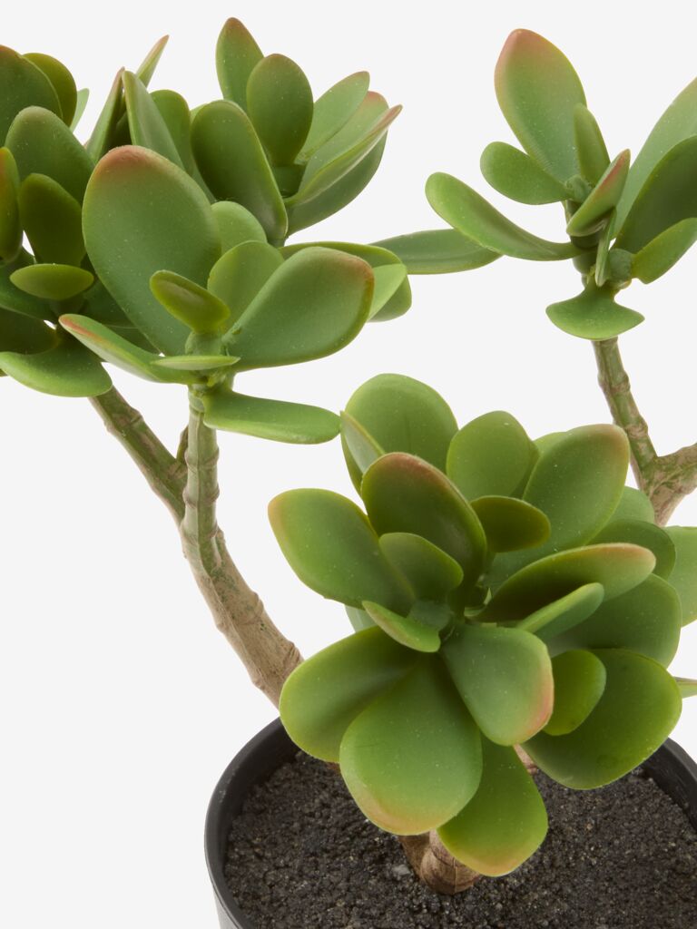 JOSTEIN Planta artificial JOSTEIN Alt.23cm verde