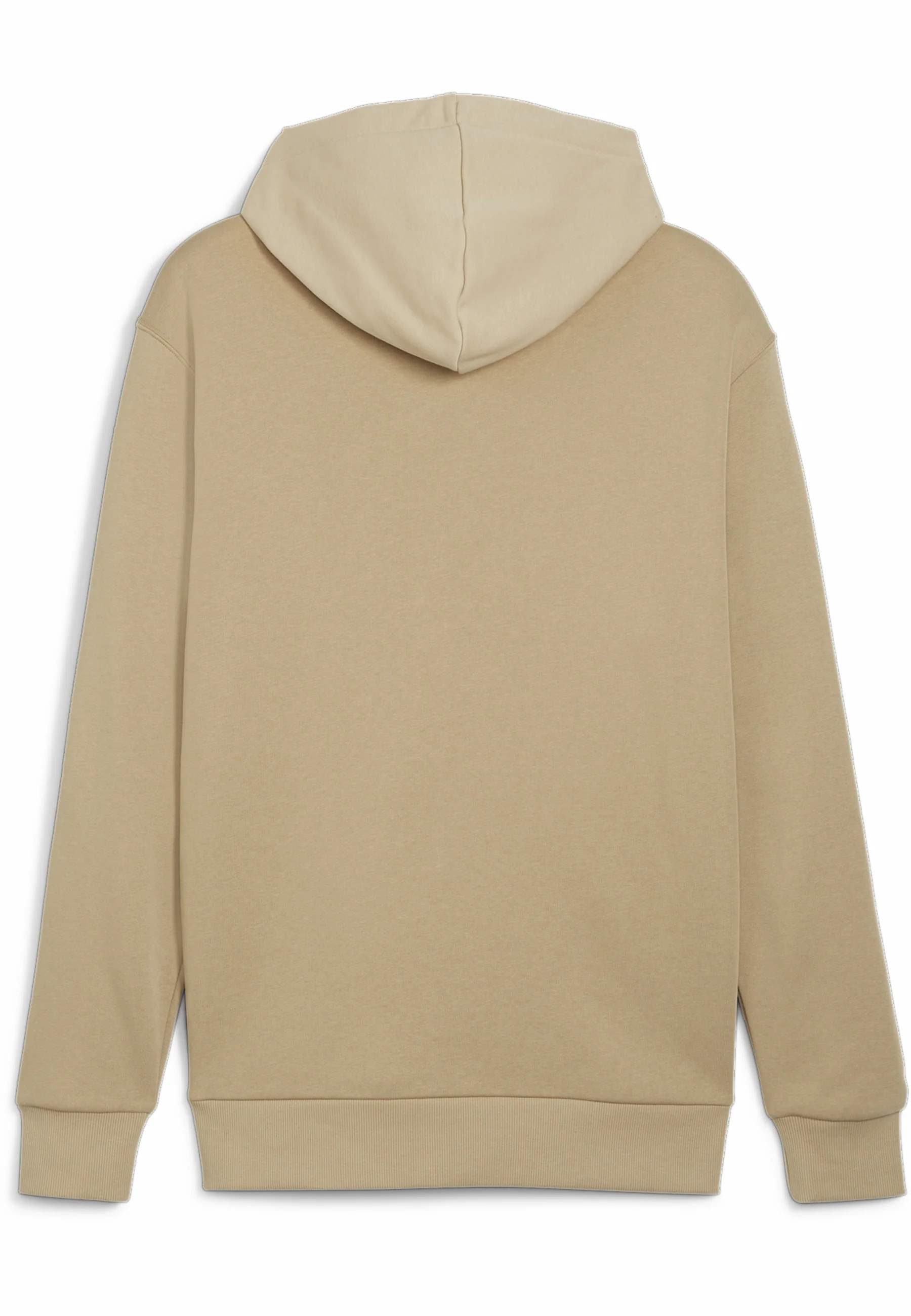 Sudadera con capucha Puma POWER GRAPHIC