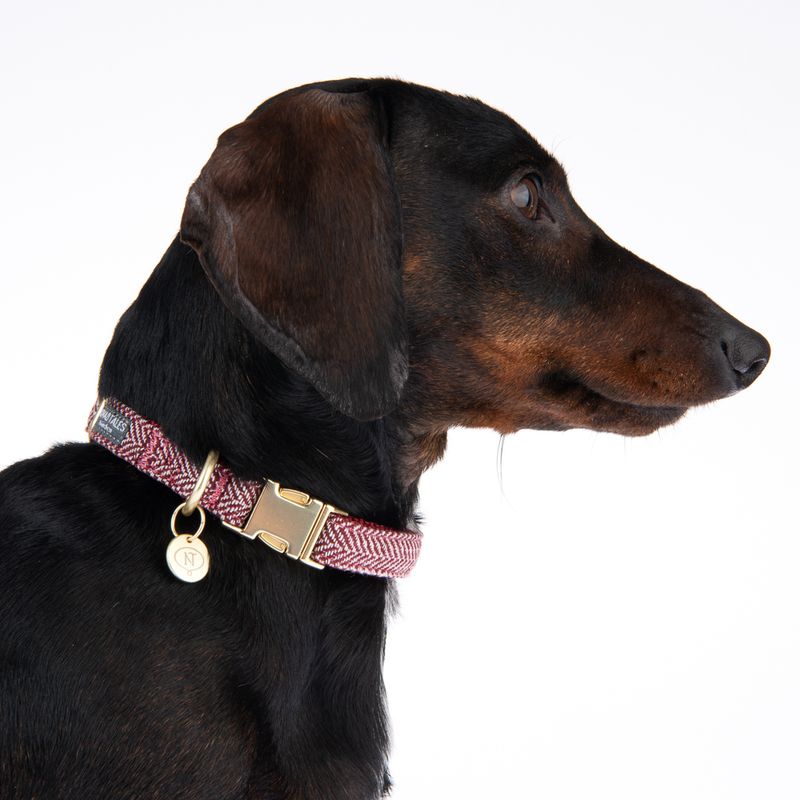 Nomad Tales Calma Halsband, burgundy zu TOP-Preisen