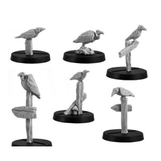 Birds of Prey (6)