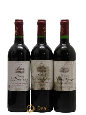 Lalande-de-Pomerol Château La Fleur Goujon 1999 - Lot de 3 Bouteilles