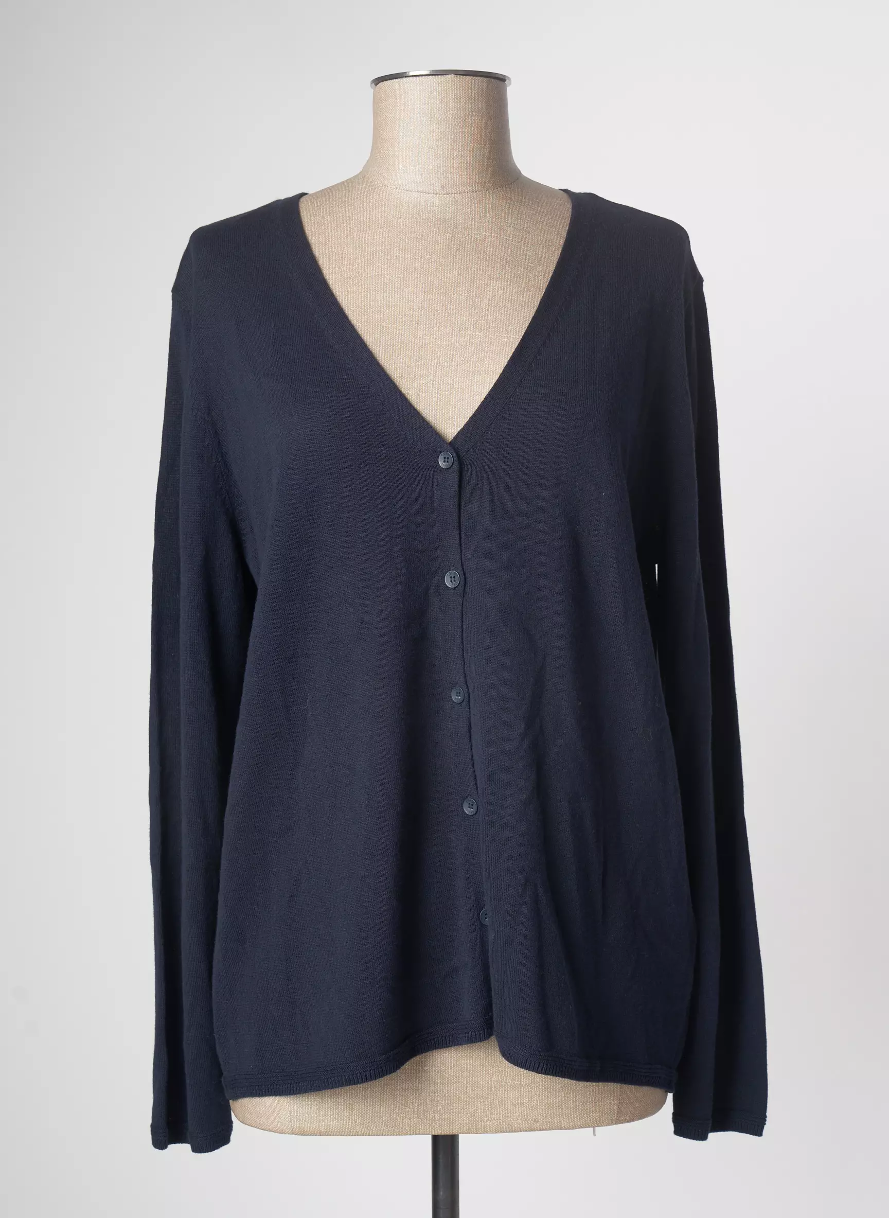 Cecil Fine Maille Femme couleur bleu
