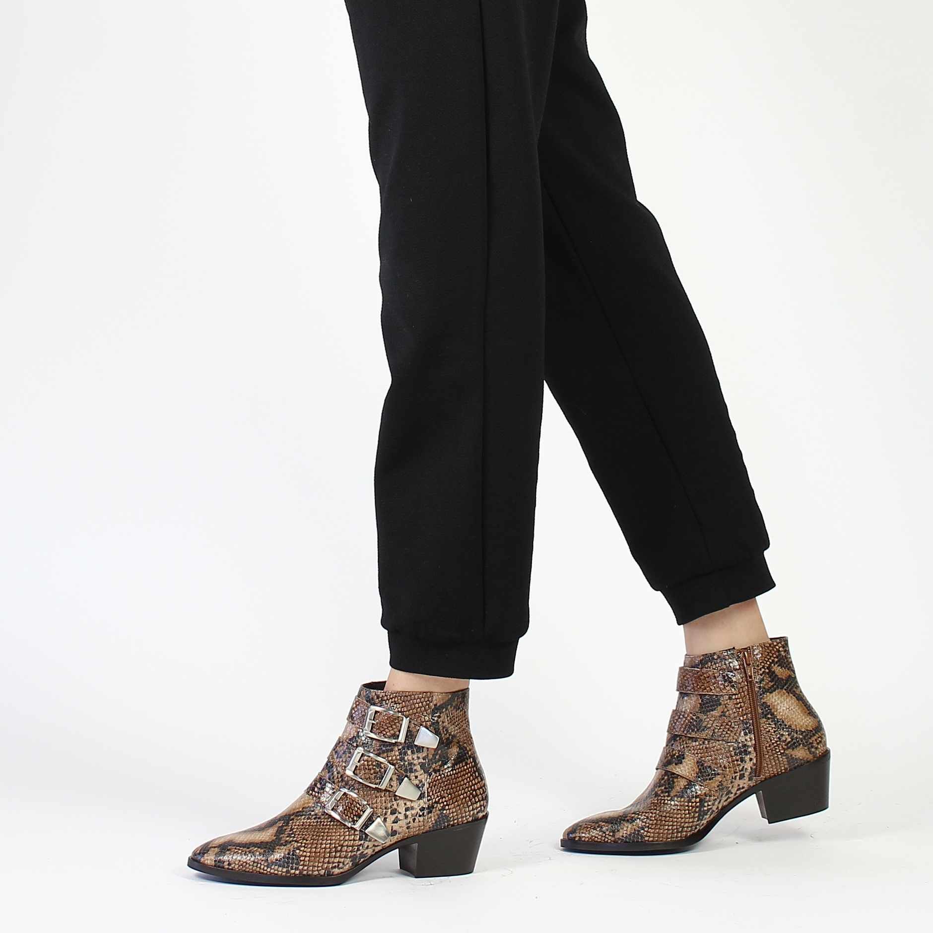 Janie Philip  JAIME - Camel Python