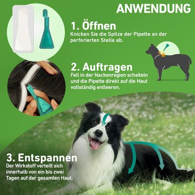 Frontline® Combo Spot-on Hund L (20 - 40 kg)