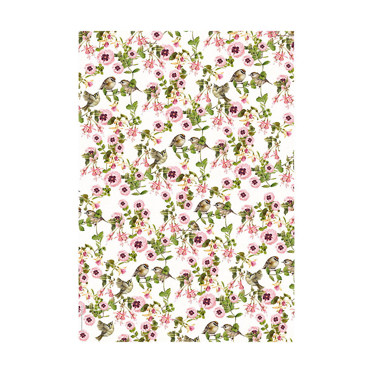 Geschenkpapier-Buch - Schöner schenken, 10 Bogen á 50 x 70 cm + 9 Geschenkanhänger