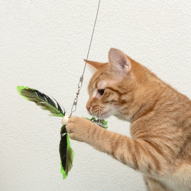 TIAKI Teleskop-Katzenangel mit Federn zu TOP-Preisen | bitiba %