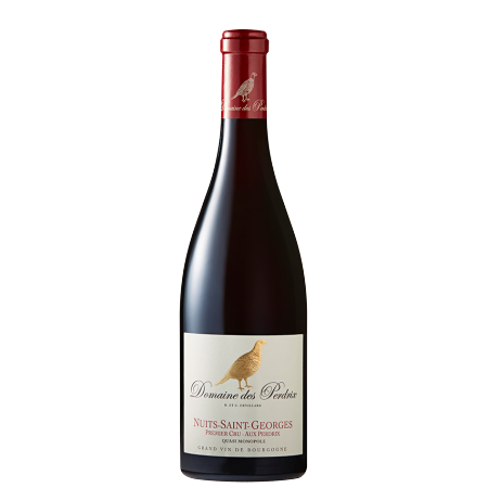 NUITS SAINT GEORGES 1ER CRU AUX PERDRIX 2021 - DOMAINE DES PERDRIX