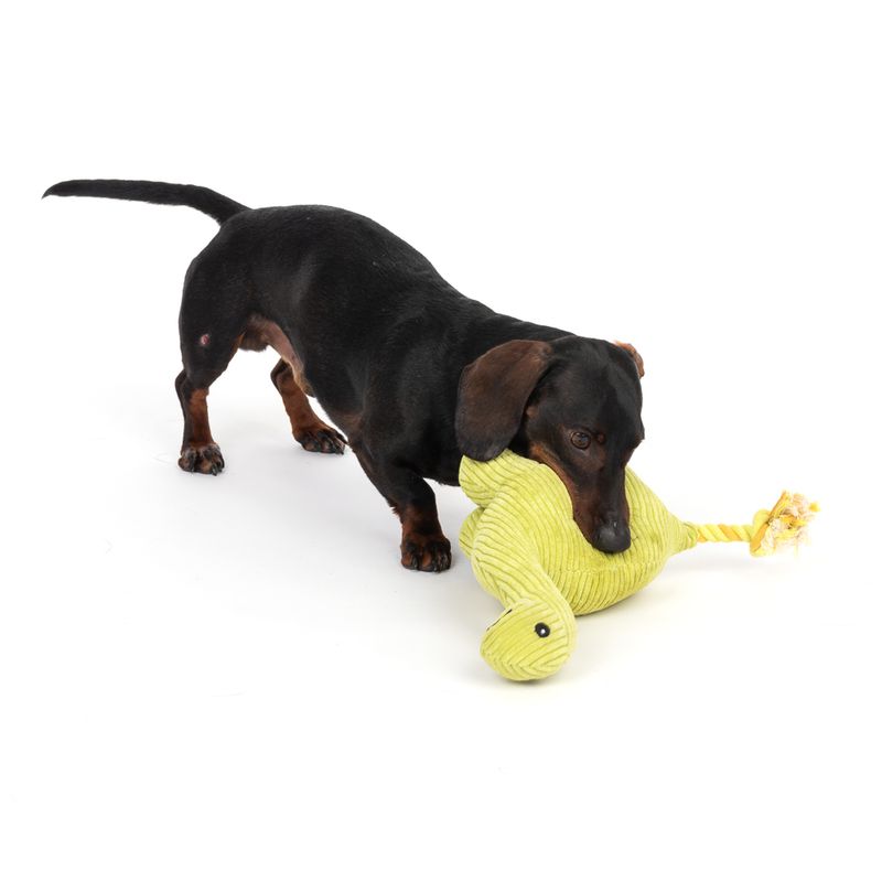 TIAKI Hundespielzeug Diplodocus zu TOP-Preisen