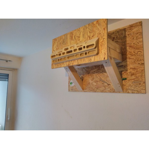 Beastmaker - 2000 Series - Trainingsboard