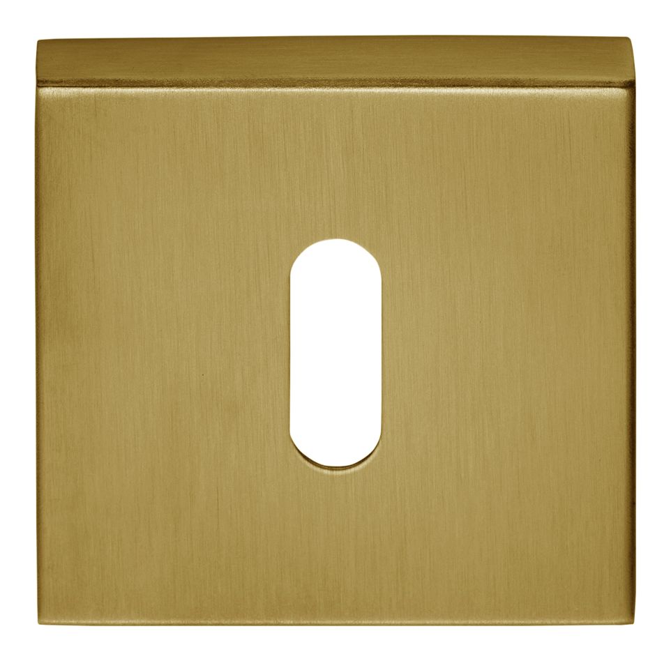 Formani 1501N060IMXX0 BASICS BSQN53 quadratischer Schlüsselanhänger PVD mattgold