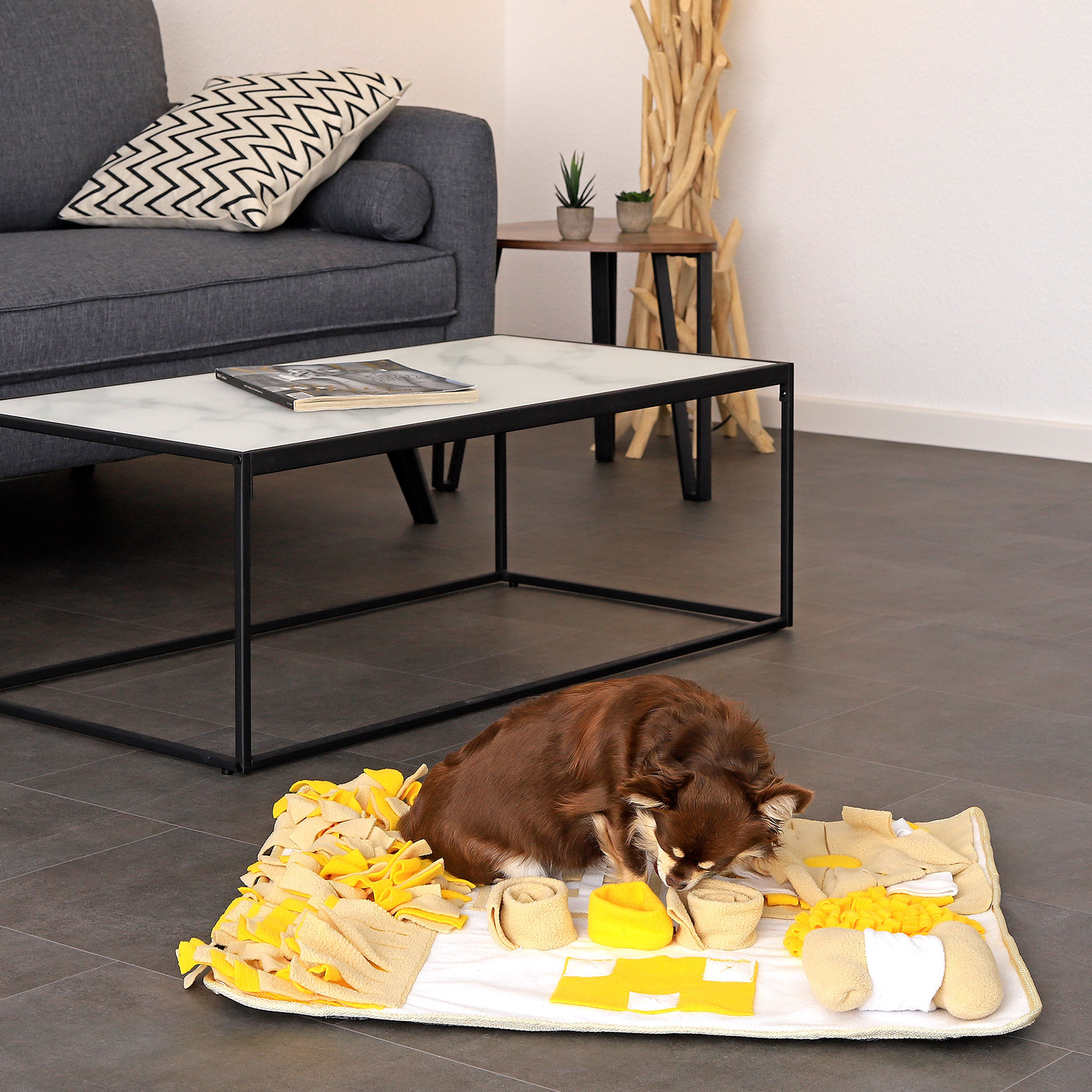 Lionto Intelligenzspielzeug Lionto Schnüffelteppich für Hunde braun/ gelb