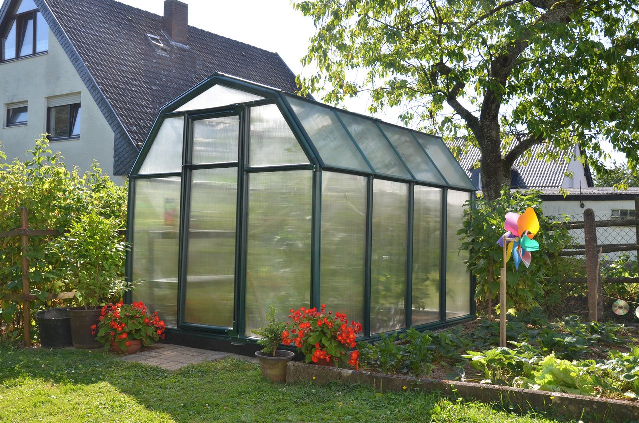 Canopia by Palram Gewächshaus Eco Grow  259 x 204cm Grün