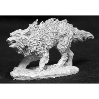Winter Wolf