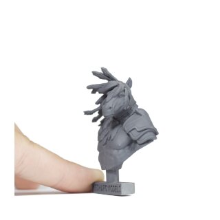 Sagittarius Bust