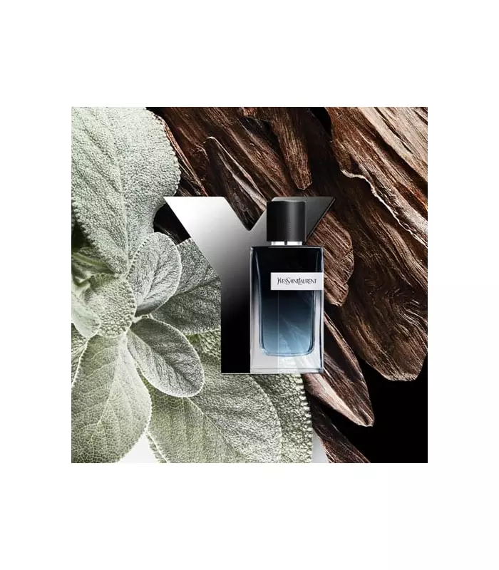 Y  Eau de Parfum Vaporisateur