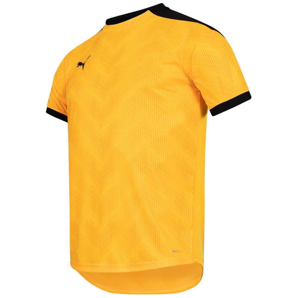PUMA ftblNXT Graphic Shirt Herren Trikot 657007-04