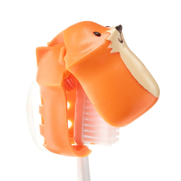 TOOTHBRUSH HOLDER