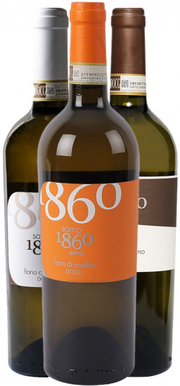 Fiano di Avellino-Paket - Tenuta Sarno 1860