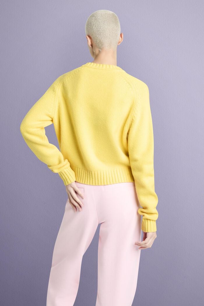 Logo-Pullover aus Wolle und Kaschmir