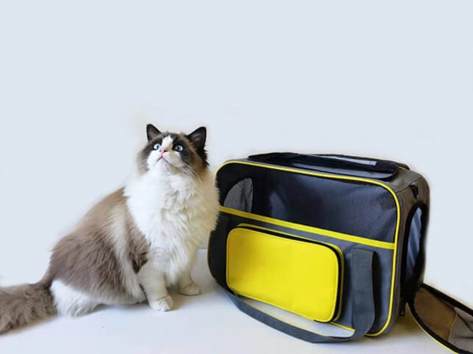 PeTraum Tiertransporttasche Faltbare TRAGETASCHE für Katze, Hunde mit Schultergurt bis 10,00 kg, BxTxH: 44 x 30 x 26 cm