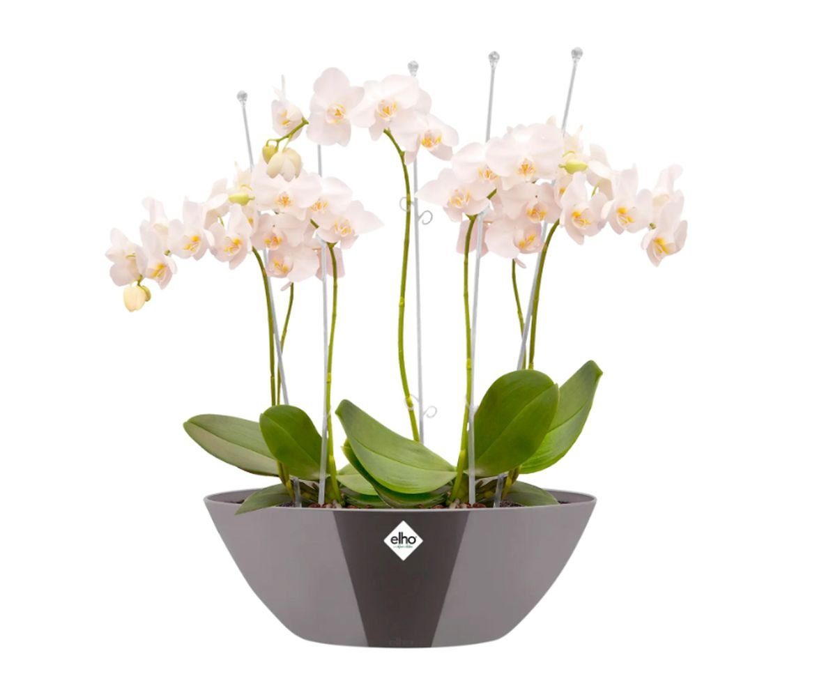 Elho Übertopf Brussels Diamond oval 20 cm - 46 cm