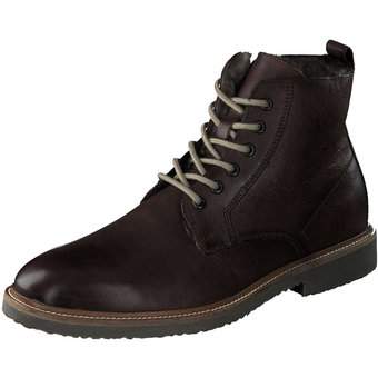 Lloyd Darwin Stiefelette in braun