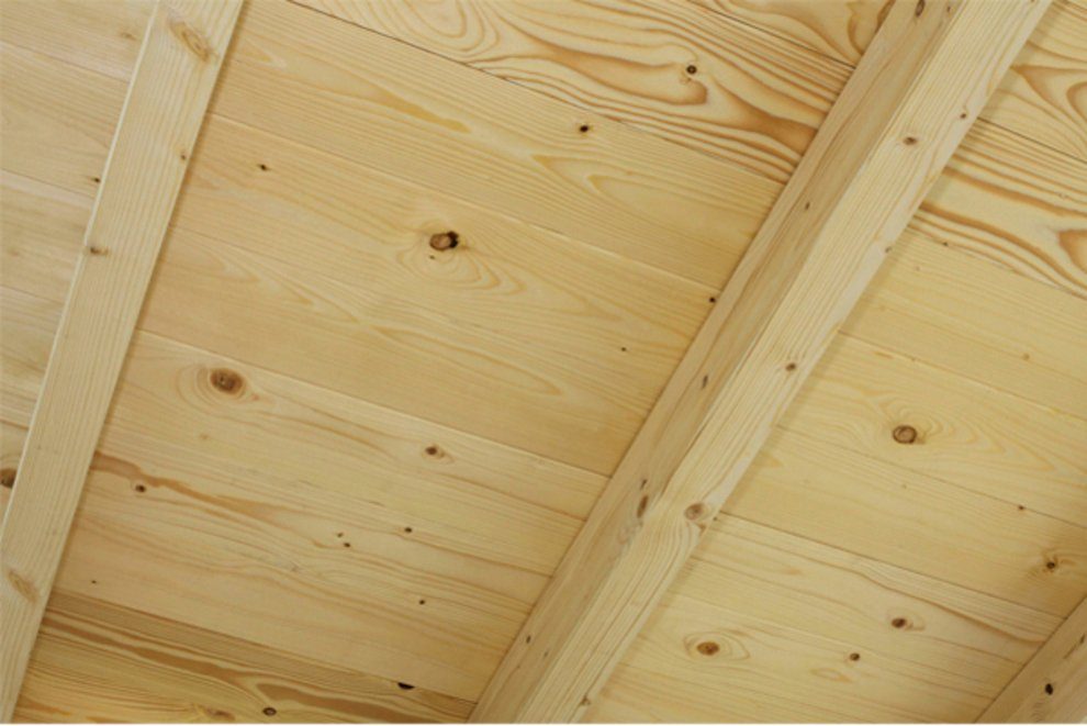 Skanholz Doppelcarport Emsland, BxT: 613x604 cm, 223 cm Einfahrtshöhe