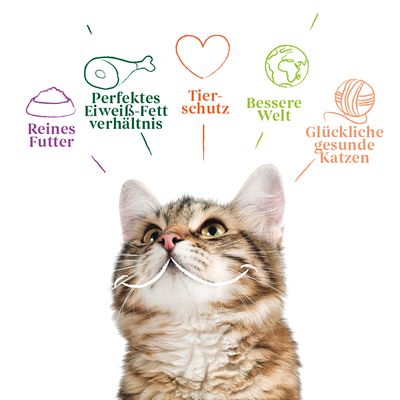 Yarrah Bio mit Bio Huhn & Fisch getreidefrei