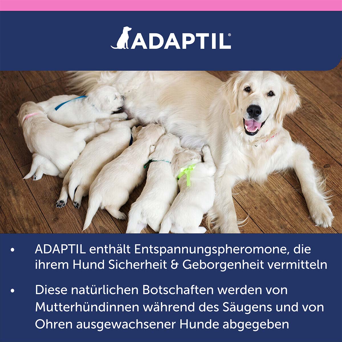 Adaptil Junior Halsband günstig kaufen bei ZooRoyal