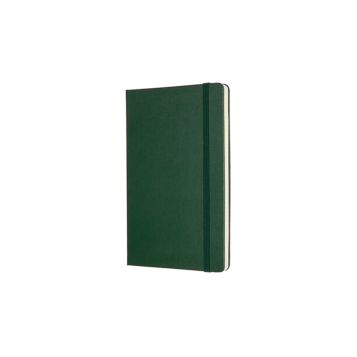 Notizbücher L/A5- Kariert Notizbücher
