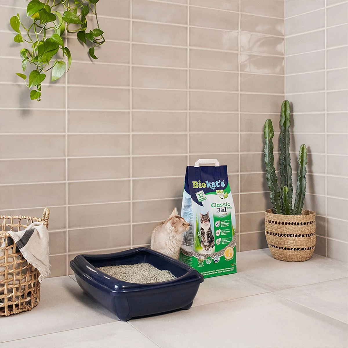 Biokat's fresh Katzenstreu - Biokats Streu günstig kaufen