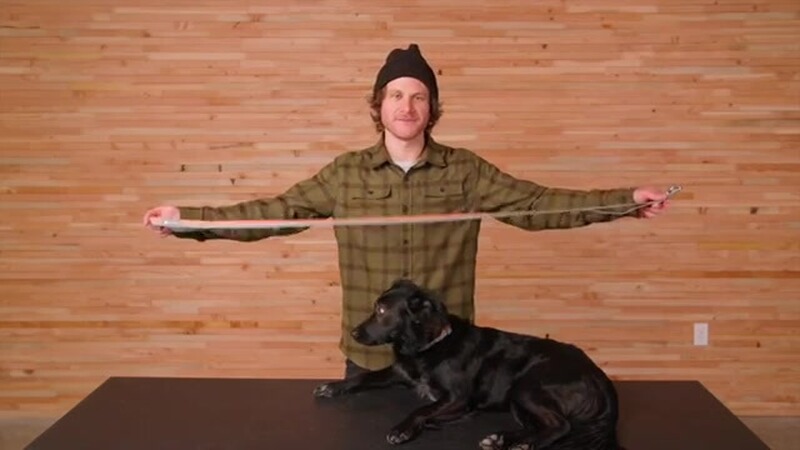 Ruffwear Hundeleine Front Range&trade; neues Modell